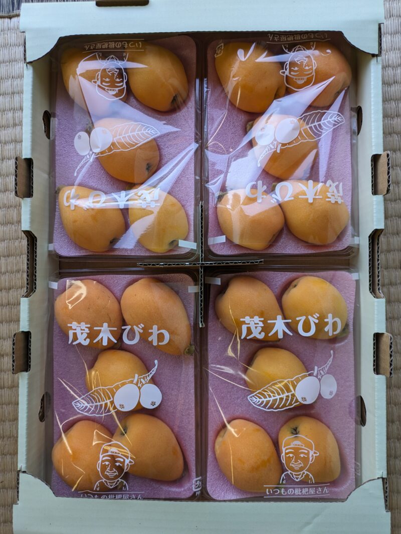 １１：【夏たより /赤秀 2Ⅼｻｲｽﾞ５玉✖4 平パック入り１ｋｇ】